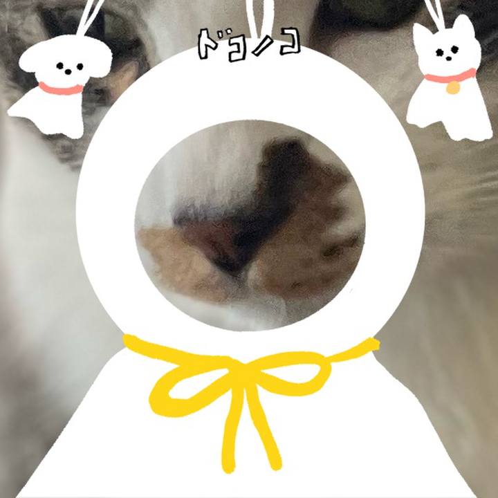 760ca1be 6dbb 4751 898d b9dfa507ca3d 1781614677464
