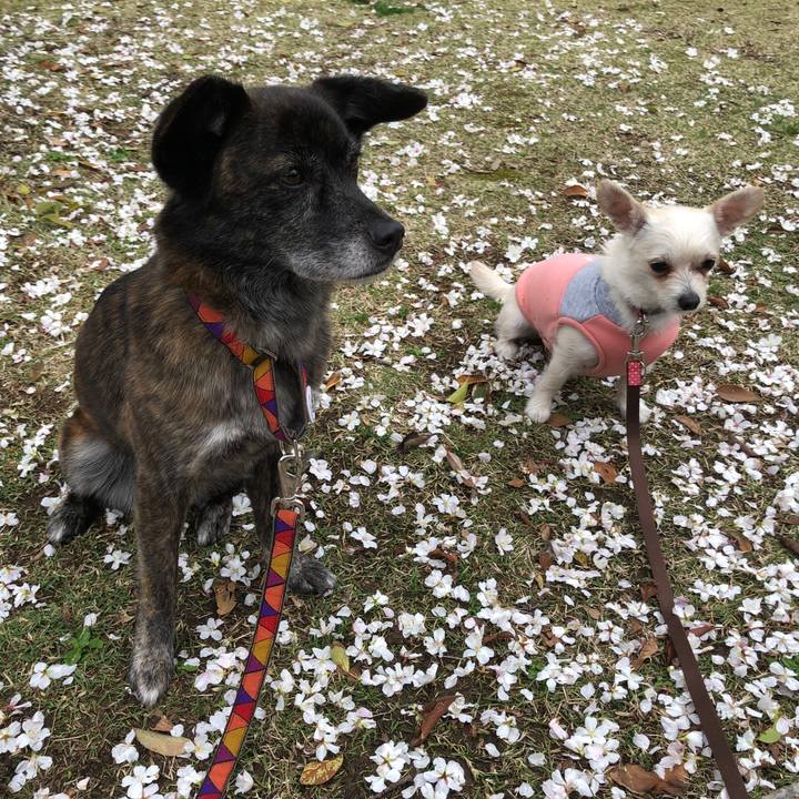 760ccfff 76e1 414e 85ce d44d2af484c4 1585642812412