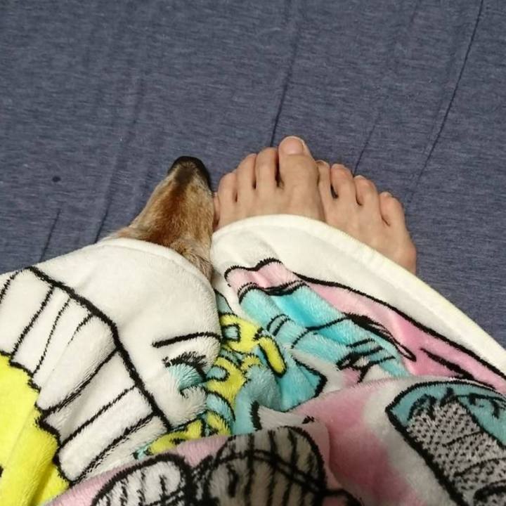 760ce567 0512 4c96 9377 2b8d59b671e3 1571854526619