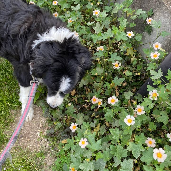 760d3853 8730 4a37 9ef7 f20780cb613c 1716190139062