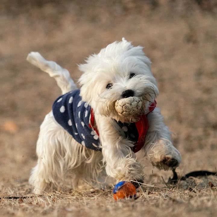 760d472c 9b9c 418b 9247 ee8551de9943 1515757982771