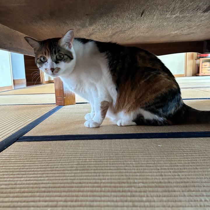 760d69c2 bdbd 4629 a6de 74819468eae7 1715743677216