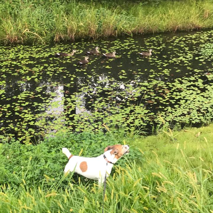 760d912e 6fda 437e 9623 8c2aff412bd0 1538266169805