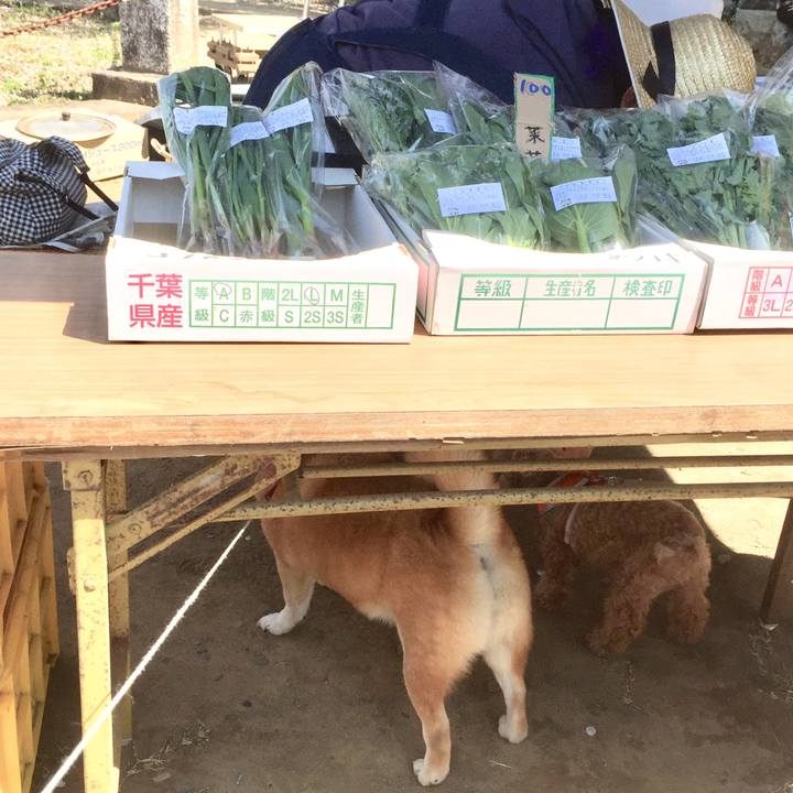 760dbed7 1eb7 4741 a6c1 f35a6271d73f 1555905199308