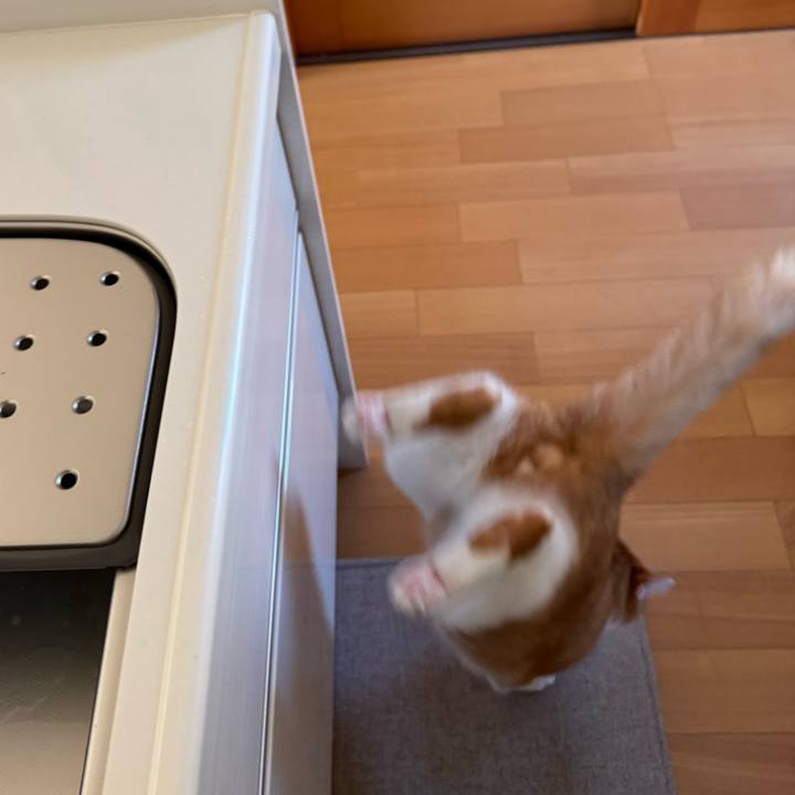 760dc5a4 8b0c 4c78 9b2f 0f89309db341 1767840444717