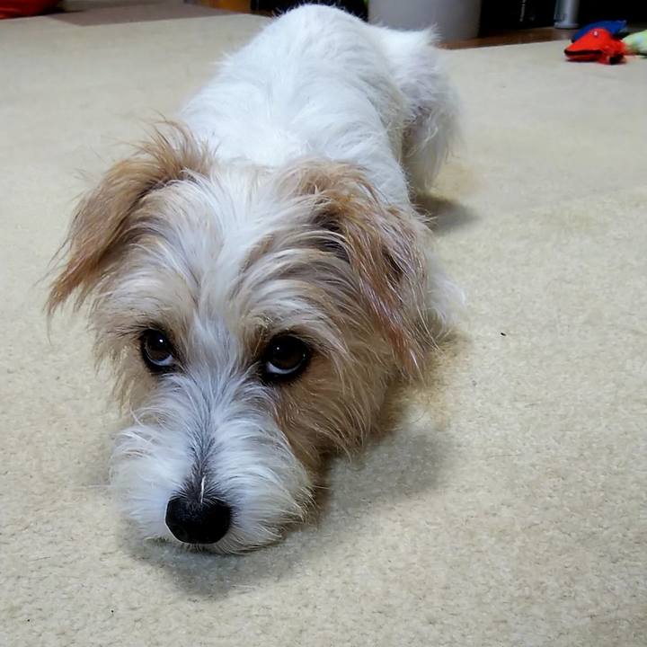 760dcc5d 3b21 4de0 9b18 4c94768efa7d 1536373922649