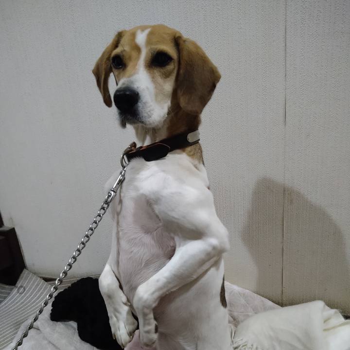 760dfa5f 6056 4544 ae3e c44c33267154 1638540427370