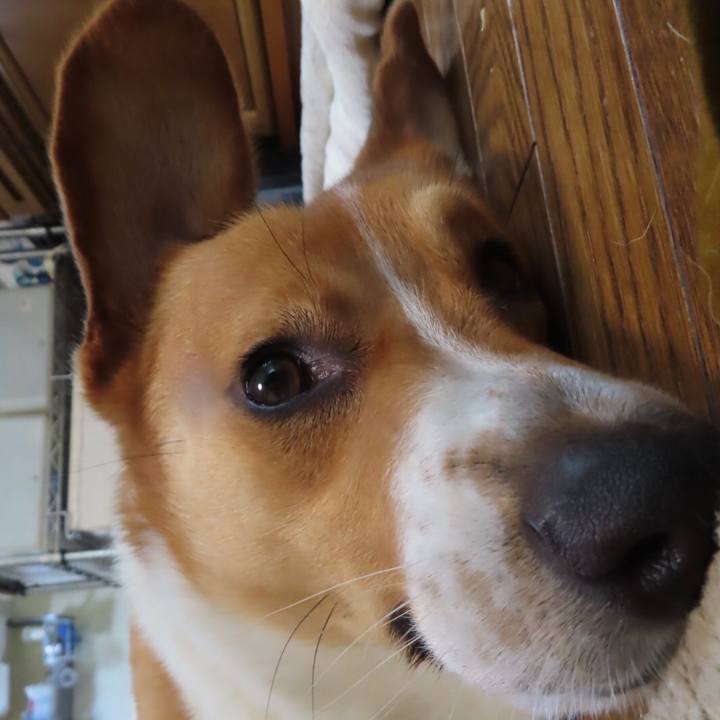 760e1ab5 a2b9 4636 8e94 dd3809e6dc83 1656730482663