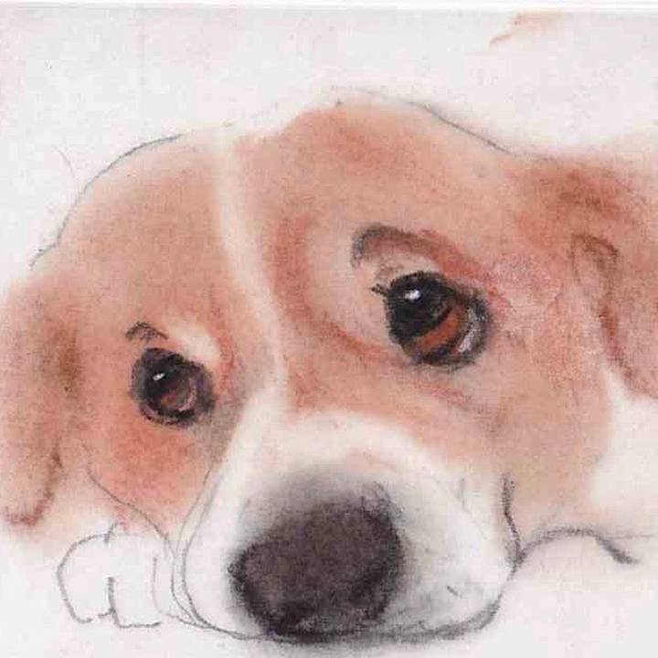 760e2a0e cbc4 48b3 87d8 4333bb4a754e 1658021044273