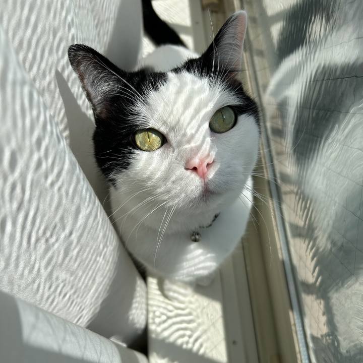 760e4ca5 0466 4819 ba90 a38626720ba1 1774137208322