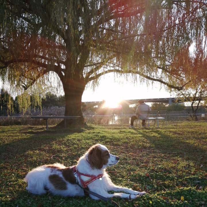 760e78c7 2ed1 47ca 9b31 82bfbdb6a2ed 1576236378581