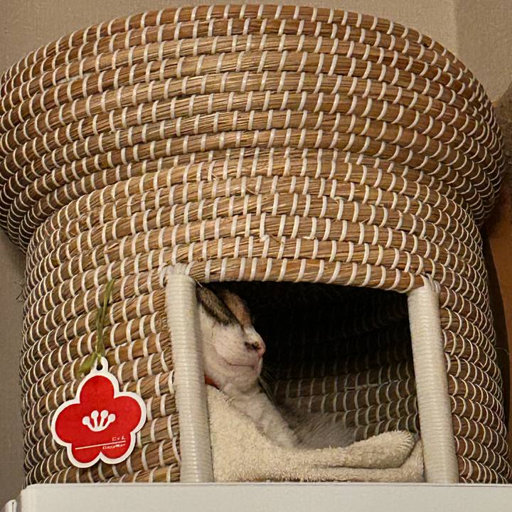 760ebc49 b149 48c0 99ff 5b1456cf30d8 1760151811636