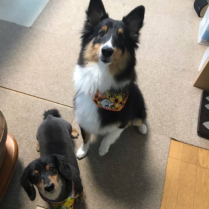 760eebcd 5370 43a1 8615 22692fb3e631 1540190448393