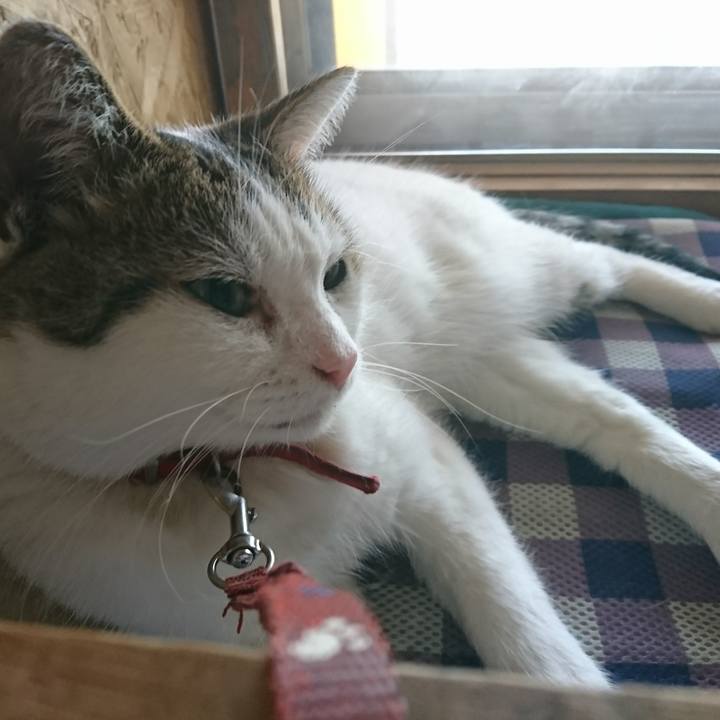 760ef750 60c3 4b70 b11f 71baf35b35c8 1533444218284