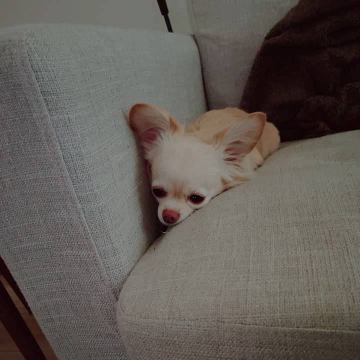 760f0223 ea6c 42ae b399 c32dab5cef8b 1704790223013