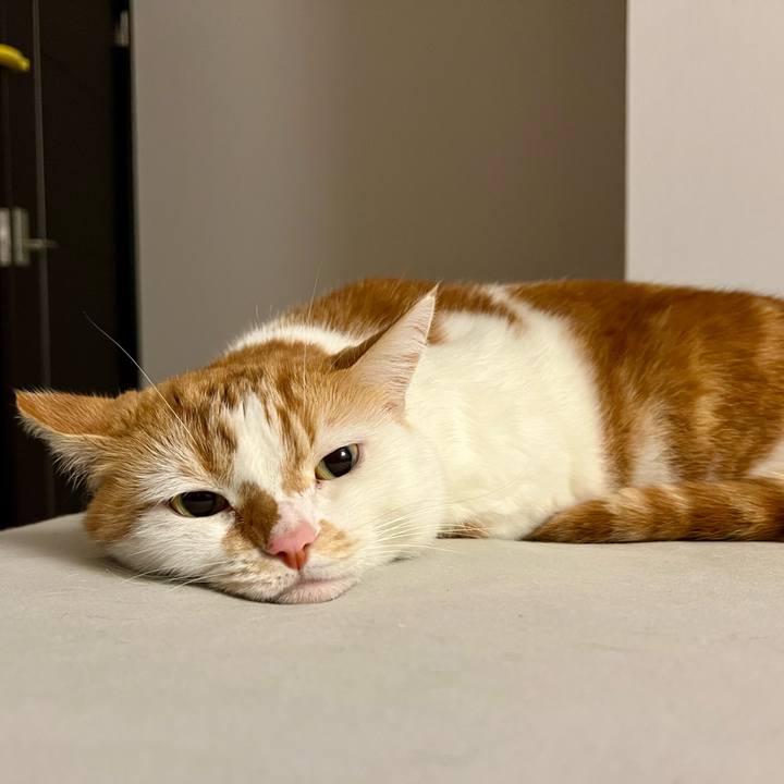 760f20f8 71ef 4660 b9f0 e598f590d566 1761016669649