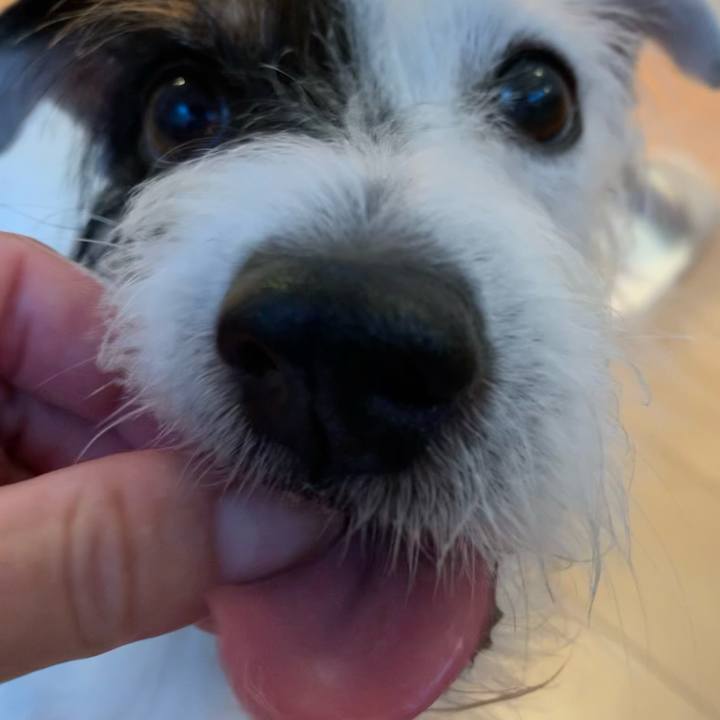 760f338c 6613 46e8 82db fedaae04a846 1602663180812