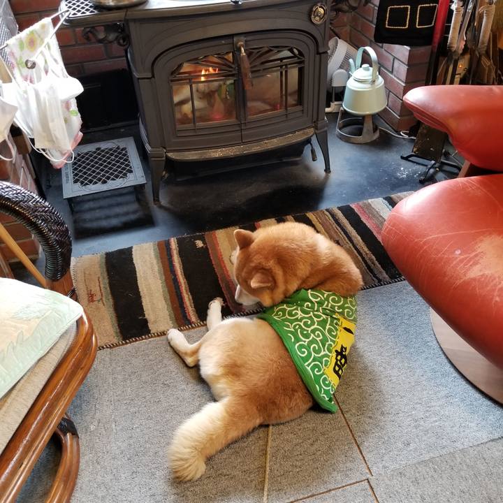 760f9814 e485 4955 93be 063358561897 1587166224690