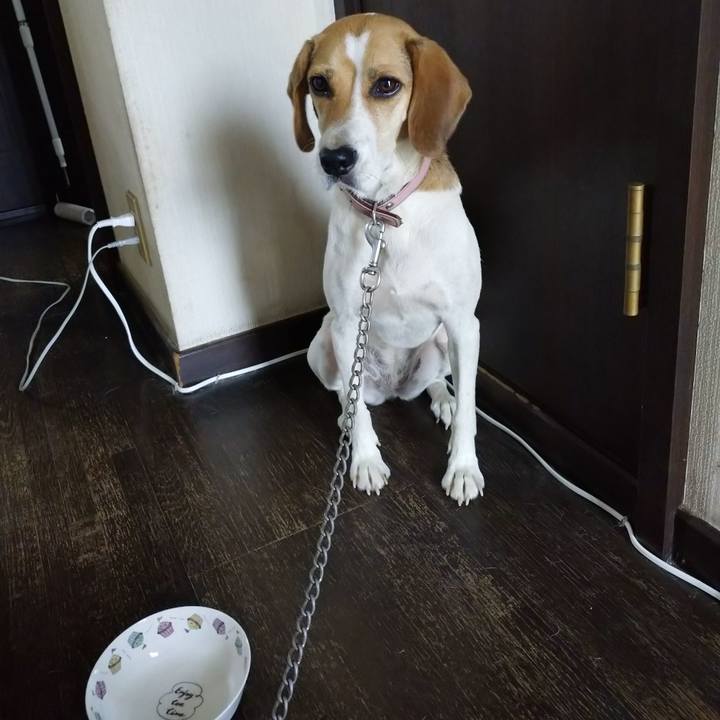 760fba5c 0212 4bea b1dc e1618ae86929 1597628778442