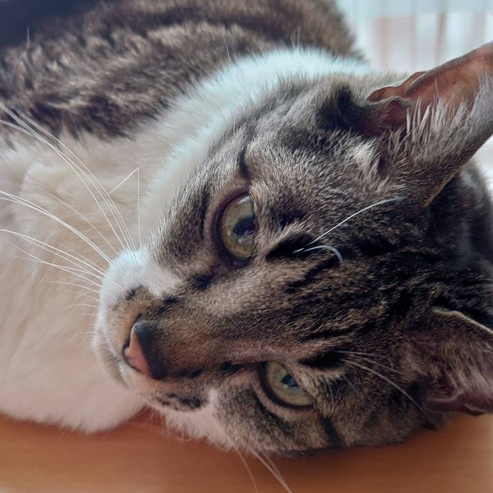 760fbadb 70fc 4902 8960 6e315bd9e6aa 1681344372686