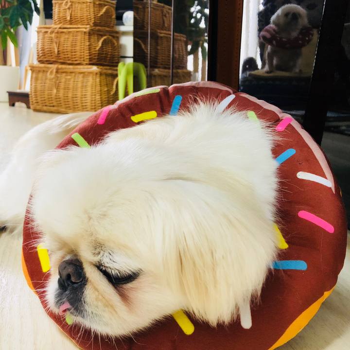 760fd1b5 c33f 422b 8e4a b1eb077352ab 1596000660620