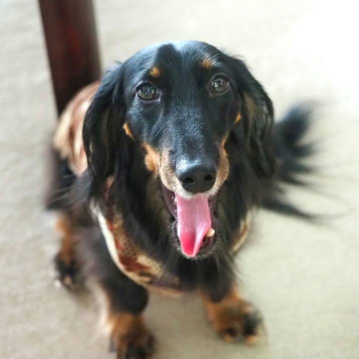 760fe5e5 cde5 485b 9a5a b036e052bc2e 1564725794528