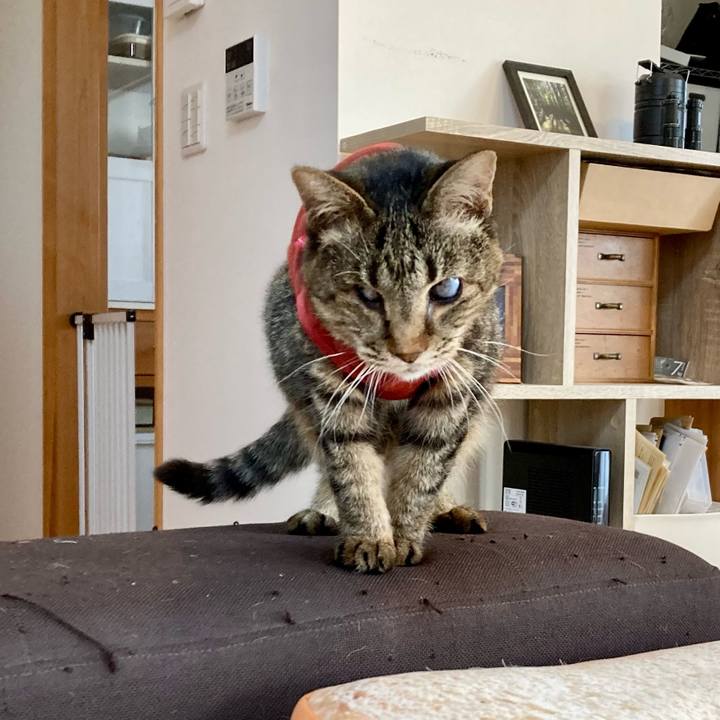 760ff82e c1f6 4113 be1e 696129d7aa84 1681898784371