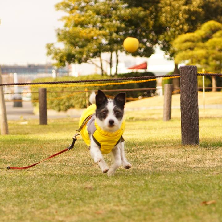 76100e3c 04e7 4830 934b 892773b986b7 1610161107737