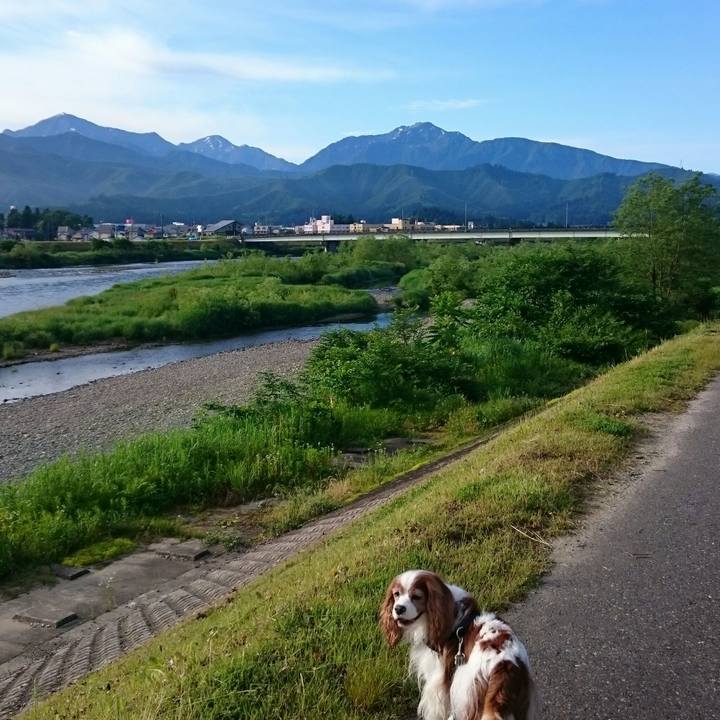 76101f88 6251 4879 ac0b 4dd7e978ce32 1529358647312