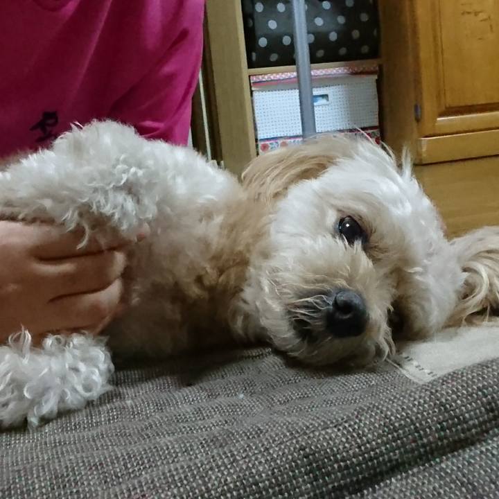 76104a32 1e46 4285 b59e 9b27be8596f5 1568206494809