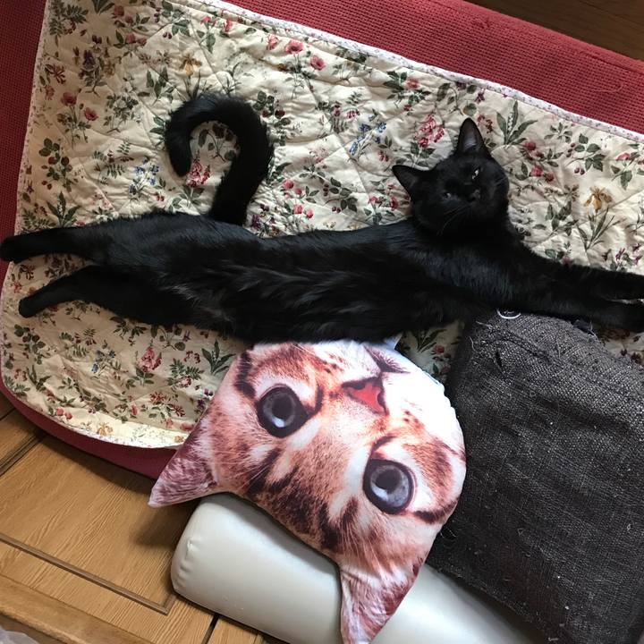 76105e17 68bd 4522 a6ff 76b7413486a4 1577881024574