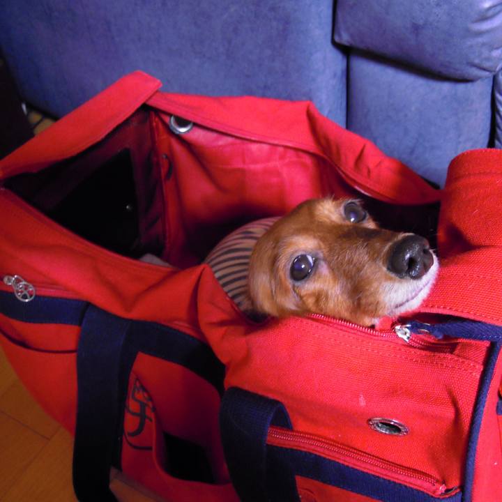 76111fae 8bc3 45cc a2e0 e9a9bd80d0f0 1530121009277