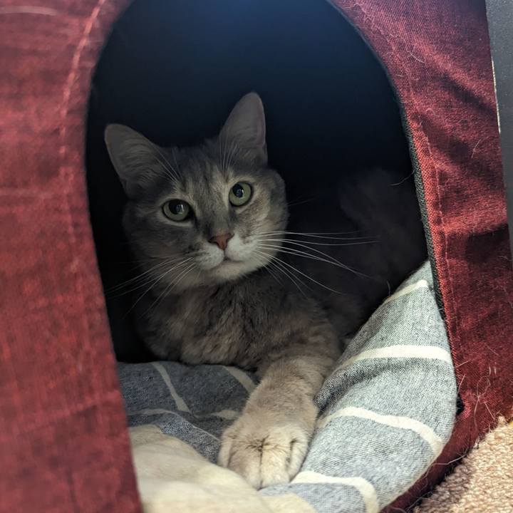 76113df1 70d3 4ada ac6d 51d9e6c98d79 1702610343329