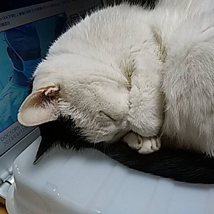 76116b89 c4fc 45ab ae5e b76a557c2ab1 1514130269879