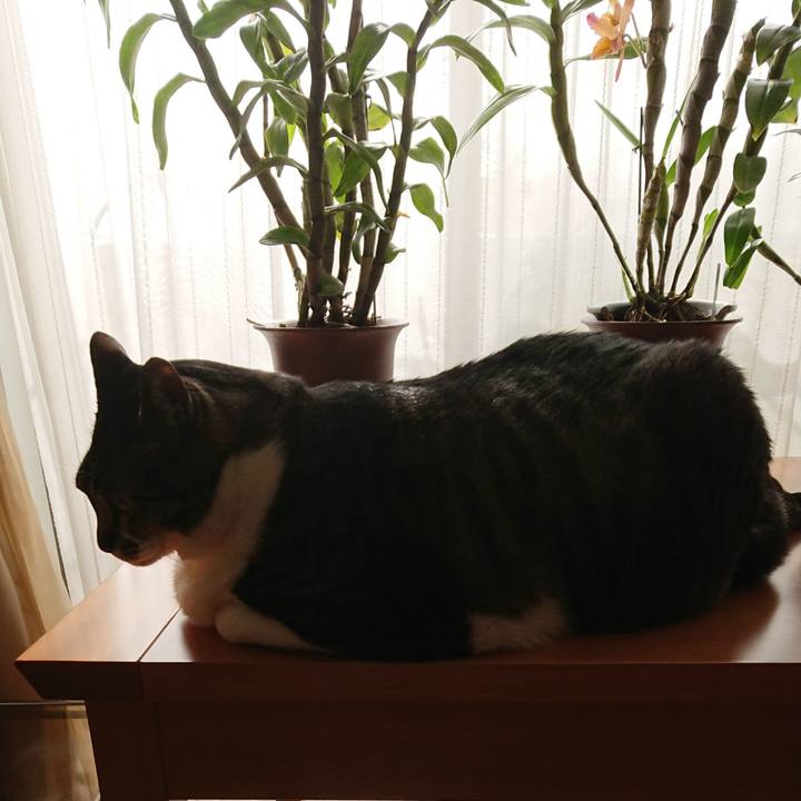 7611c01b d6e6 45ec 9c47 994fa2231bbf 1555038285460