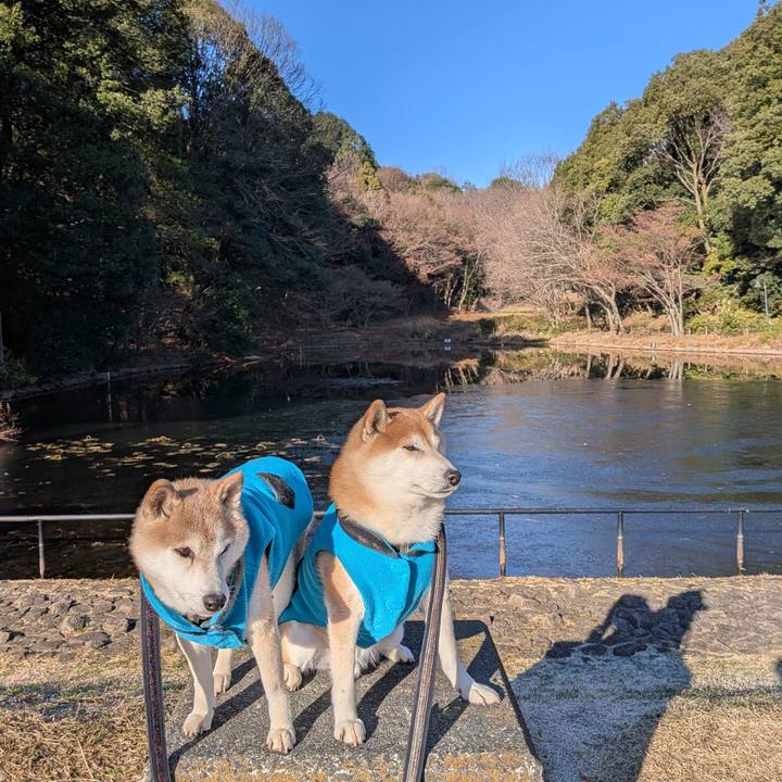 7611cc44 5950 4991 8f0e 2c8bfade6b82 1767844698411