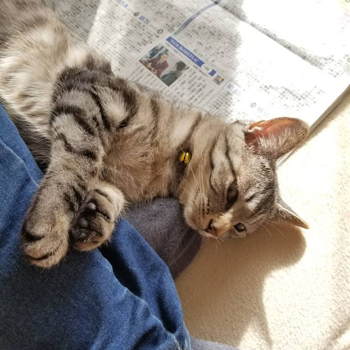 7611d55a fad1 48cd 8170 0d34e8b8f9fa 1678876508799