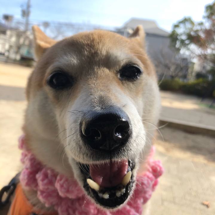 7611d808 b272 4374 8f95 e67dc0f0ebef 1577180716083