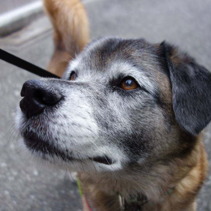 7611de08 d303 4328 ab66 dfa2a79fad3a 1550366386536