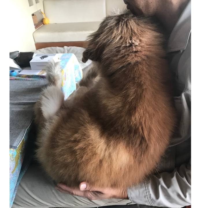 76124a74 348c 442d a98c 6b21e22260c3 1603597491065