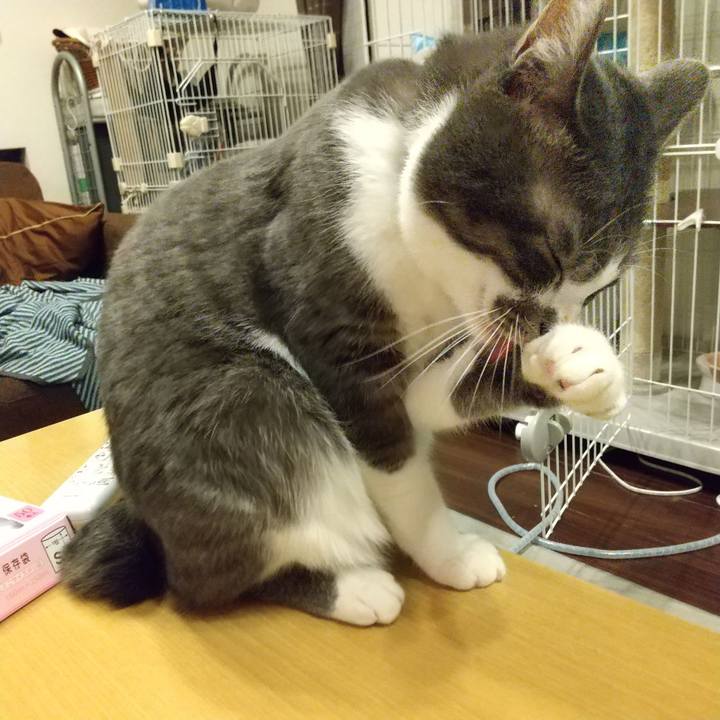 761260eb 2b60 4b9a b47f ac1b4740a8d9 1608807229327