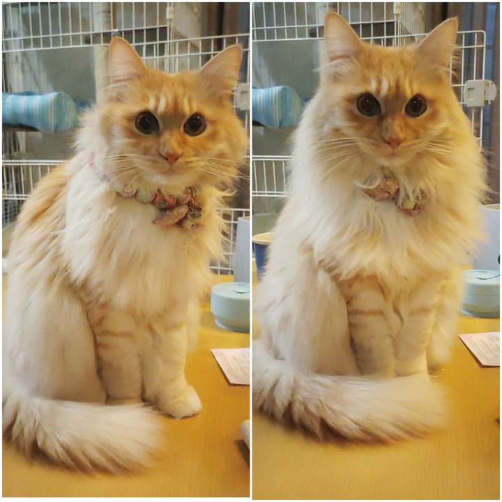 7612660a aaca 40b7 90c2 19cf5bd9cfe2 1677794654380