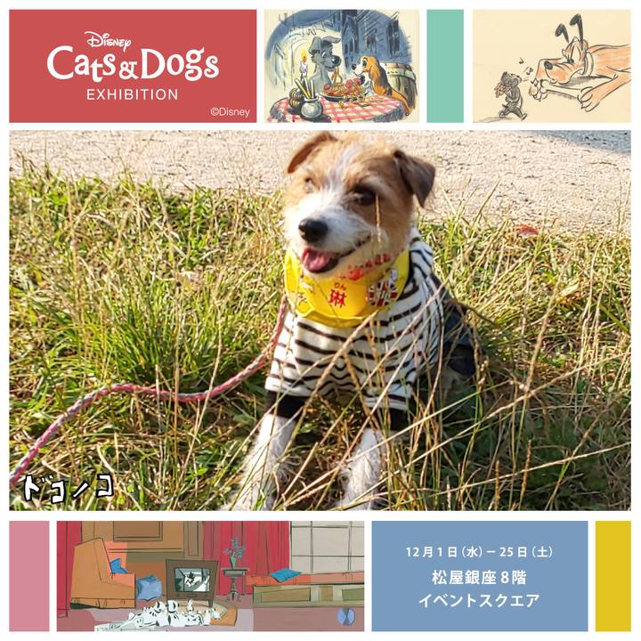 76128b38 ff4d 4010 836d e7242fdfd331 1638332814932