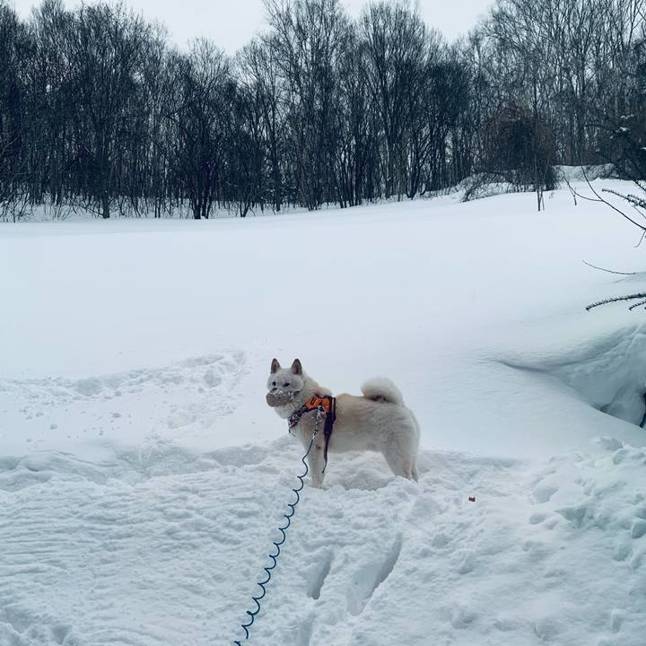 7612a3ec fbd0 4eae 9ffd 483f28e6781b 1676069663528