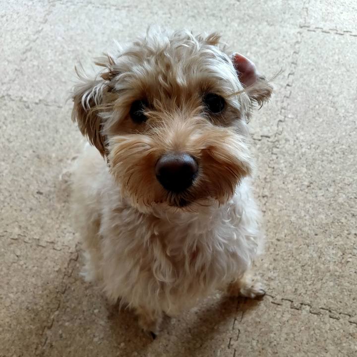 76132c0f 3a0c 46b4 83c8 4127c0ac59d8 1579404016133