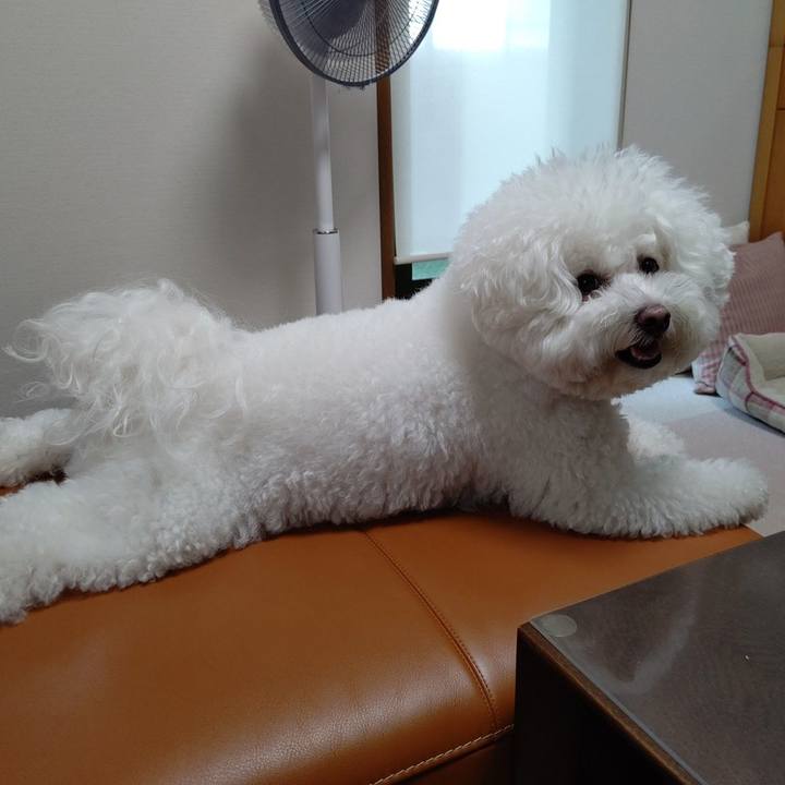 76134c48 380c 4adf 8093 918769accd44 1655783232872