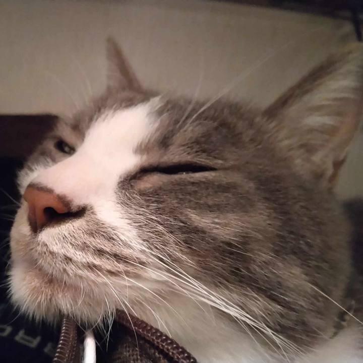 7613a3aa 08e7 4f3d 8322 3de88fe363c2 1708000535032