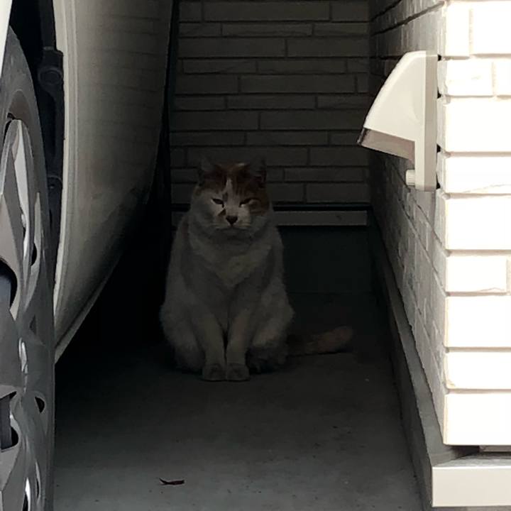 7613bd92 a7b6 4a5b 95cb d36a8067e97a 1518916067030