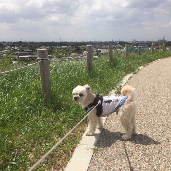 7613f107 bc01 473f 9c2b e77c95694186 1558264931101