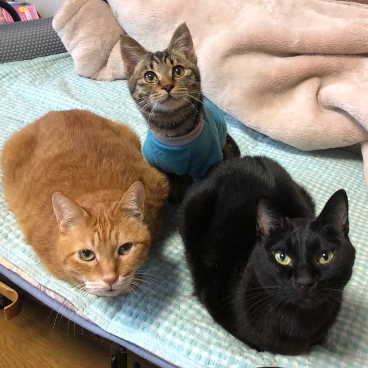 7614004c f3f0 4cb2 89af b72849c3af0a 1732918208457